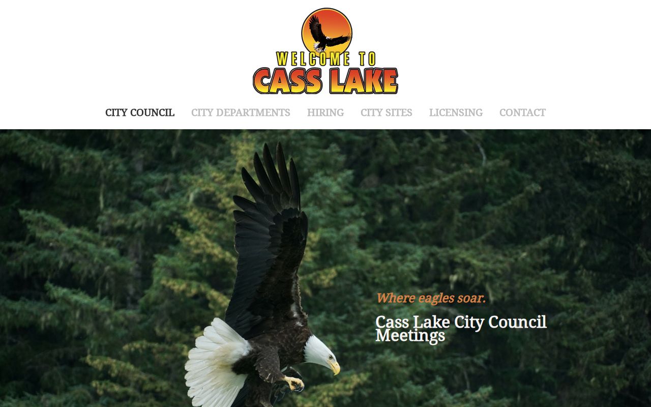 Cass Lake court record source image for city council records
