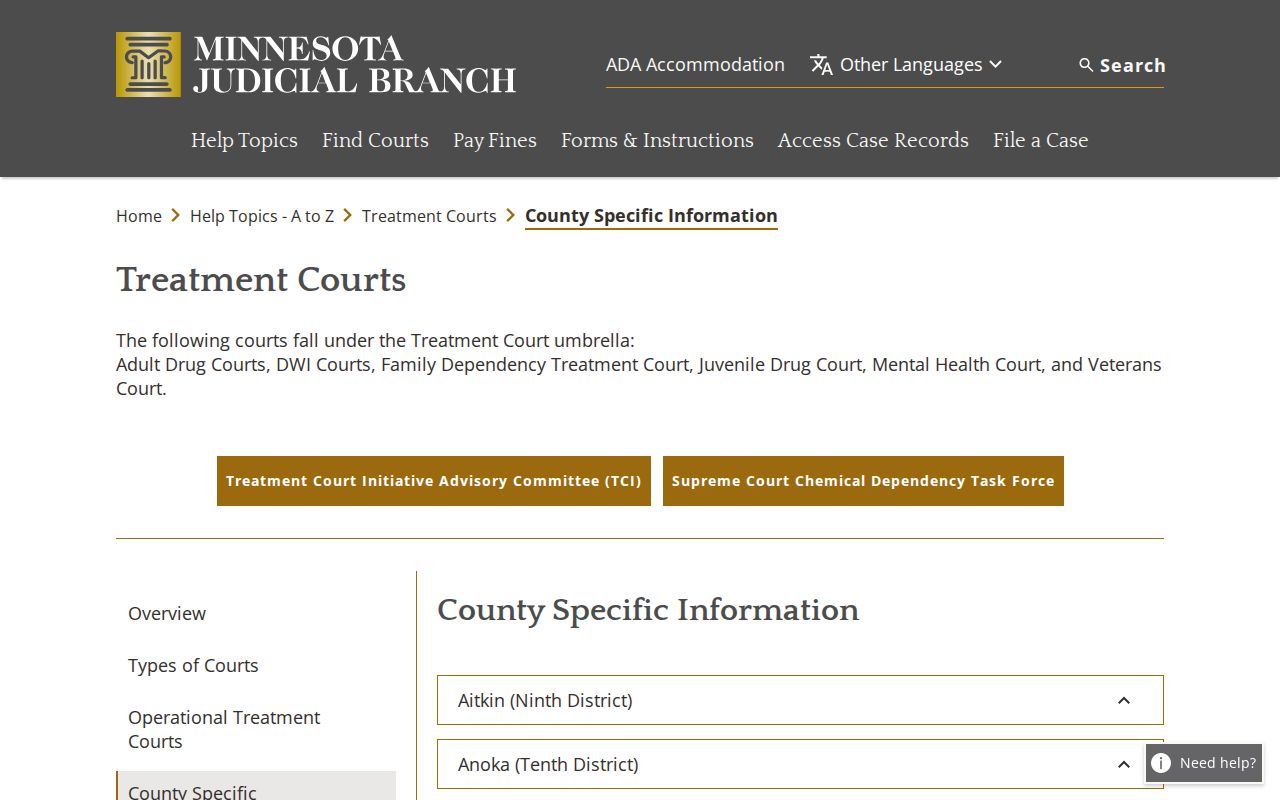 Cass County criminal docket Wellness Court program information
